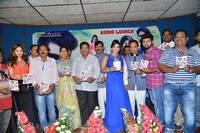 Danger Love Story Audio Launch